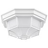 Nuvo LED Spider Cage Fixture, White Finish with Frosted Glass 62/1399